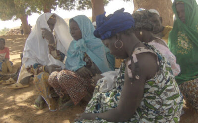 Micro finance-alphabétisation-maraîchage des femmes de la région des Hauts Bassins du Burkina Faso