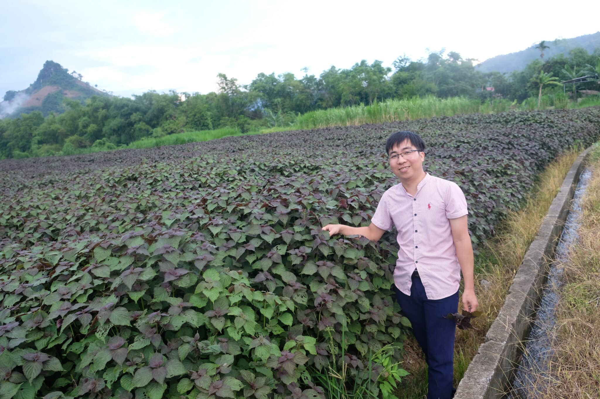 Le témoignage de An Van Tuan, jeune entrepreneur au Vietnam
