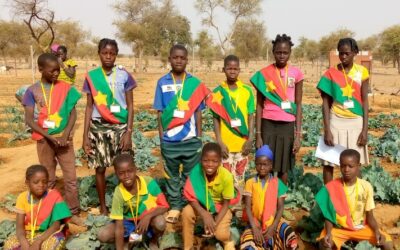 In Burkina Faso, a school garden enriches the canteen and plays an educational role for students