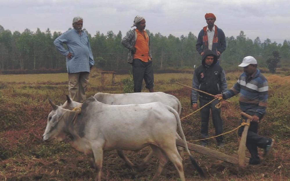 En Inde, Aide et Action promeut une agriculture durable pour soutenir les paysans face à la COVID-19