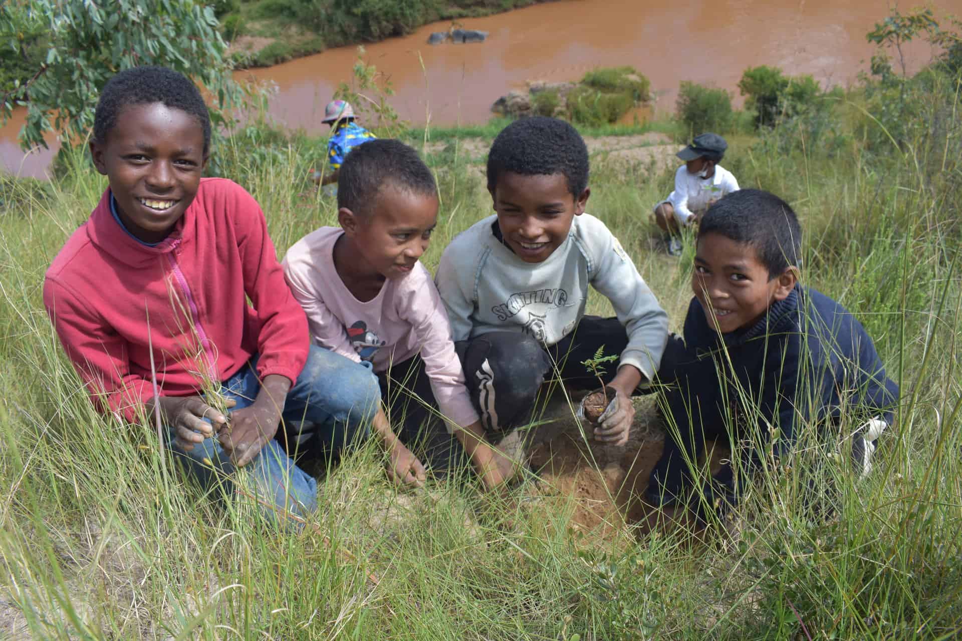 Students in the middle of a reforestation activity in the primary school of Ampangabe, west of Tananarive (Madagascar)