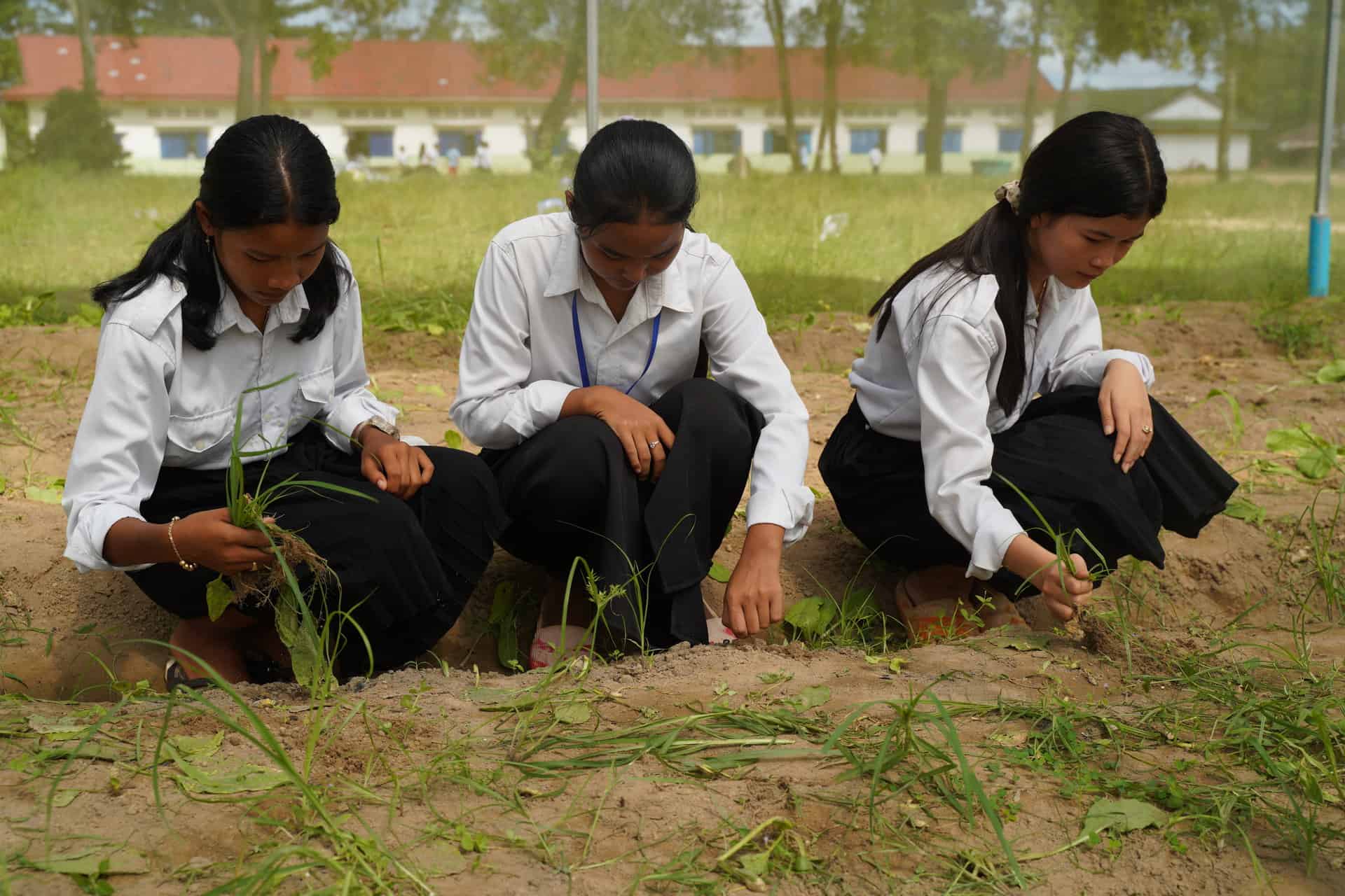 Des jeunes filles pendant une classe verte. Cambodge, décembre 2023. © Gilles Oger